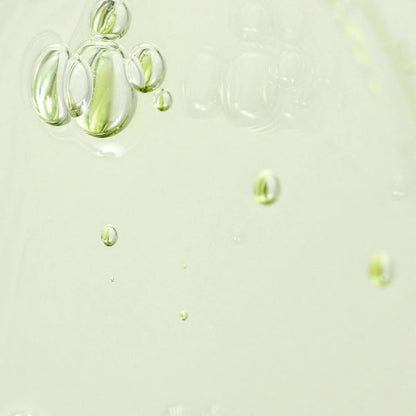 Beauty of Joseon - Calming Serum Green Tea+Panthenol - 30ml